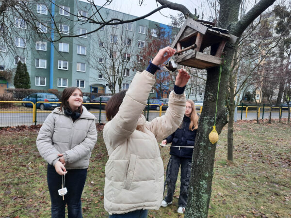 Dokarmiamy ptaki