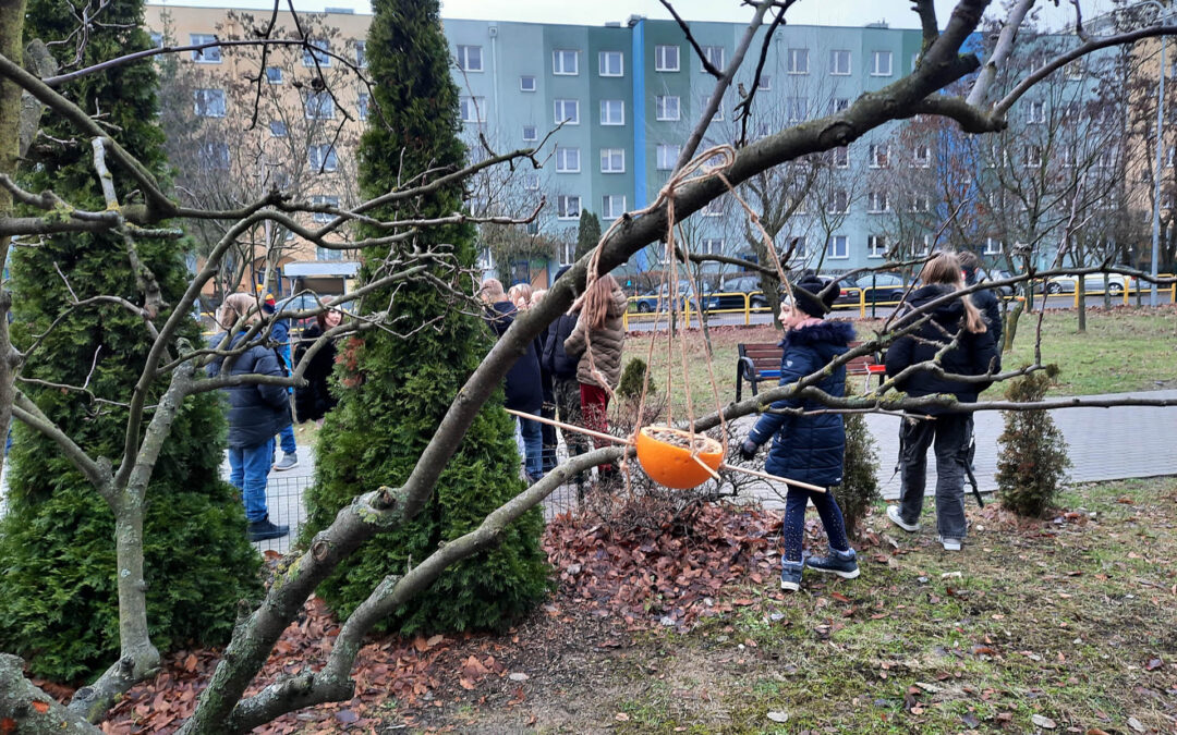 Dokarmiamy ptaki