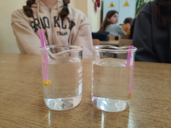 Eksperymenty w klasach 6