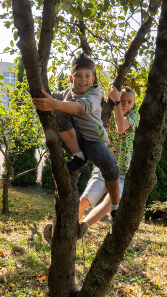 Akcja "Kochamy drzewa"