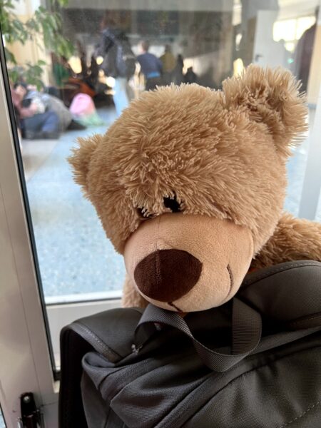 Dzień Misia w SP18 w Toruniu