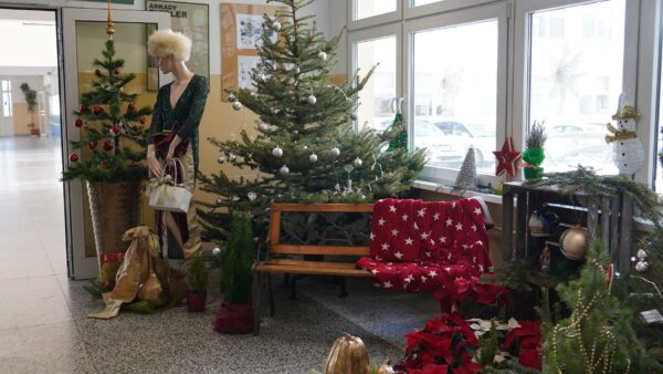 SU, choinki z Nadleśnictwa Dobrzejewice