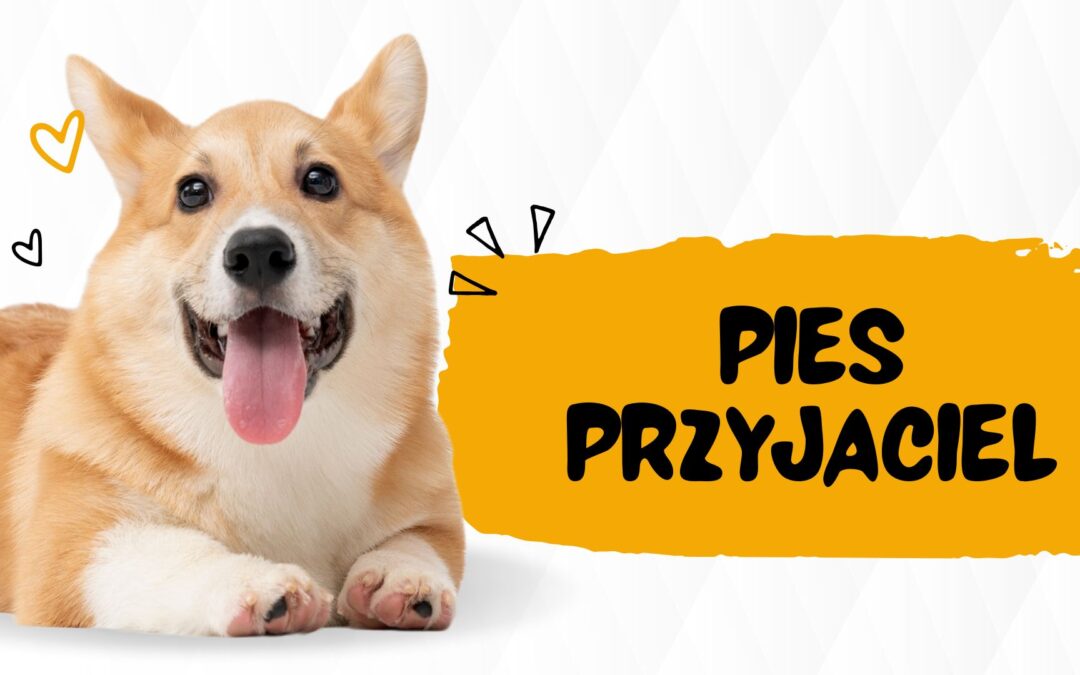 Zajęcia ze Strażą Miejską