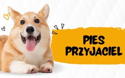 Zajęcia ze Strażą Miejską
