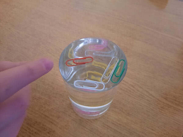 Światowy Dzień Wody