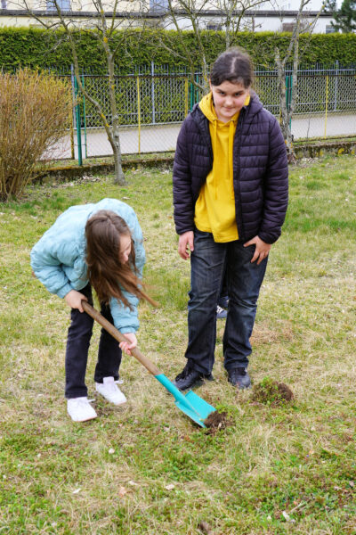 Sadzimy drzewka z okazji Międzynarodowego Dnia Lasów