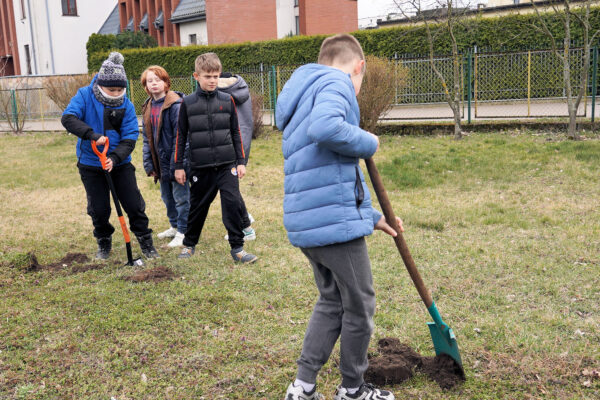 Sadzimy drzewka z okazji Międzynarodowego Dnia Lasów
