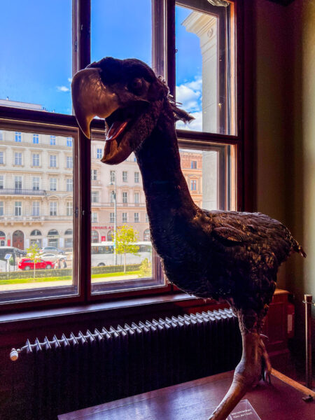 Wycieczka do Czech i Austrii