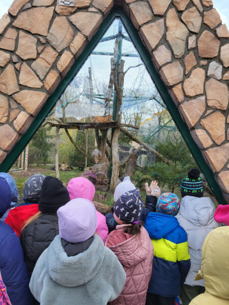 Biedronki w ZOO