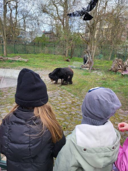 Biedronki w ZOO