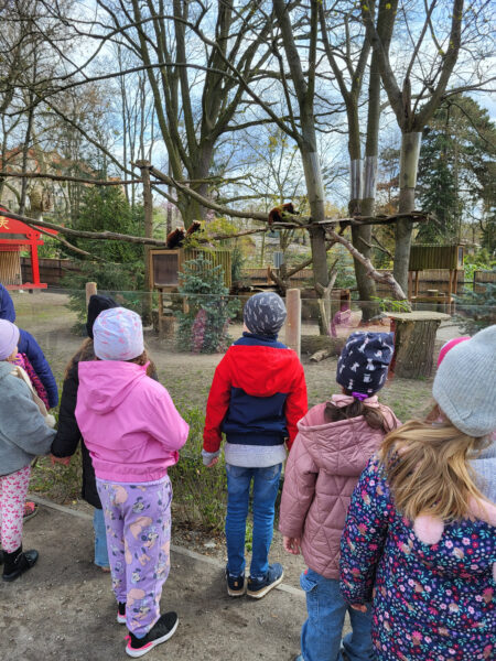 Biedronki w ZOO