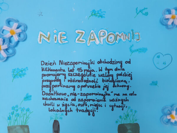 Z okazji Dnia Polskiej Niezapominajki