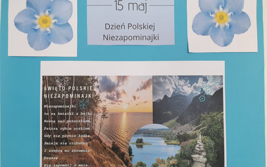Dzień Polskiej Niezapominajki