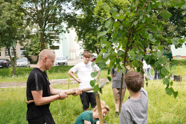 Eko-chellenge, sadzenie drzewek