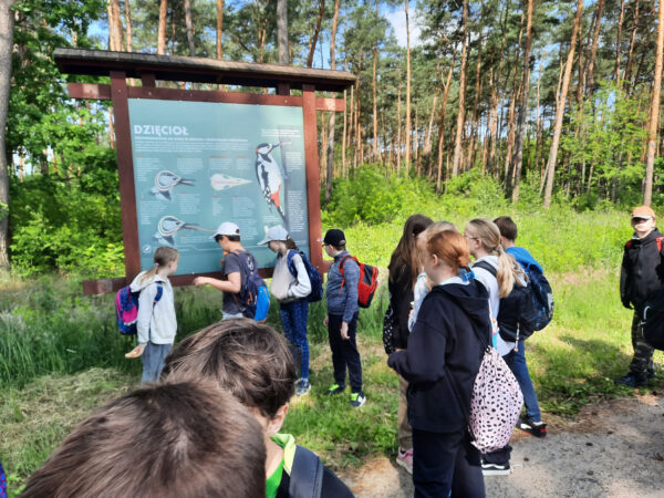Gospodarstwo Szkółkarskie Bielawy