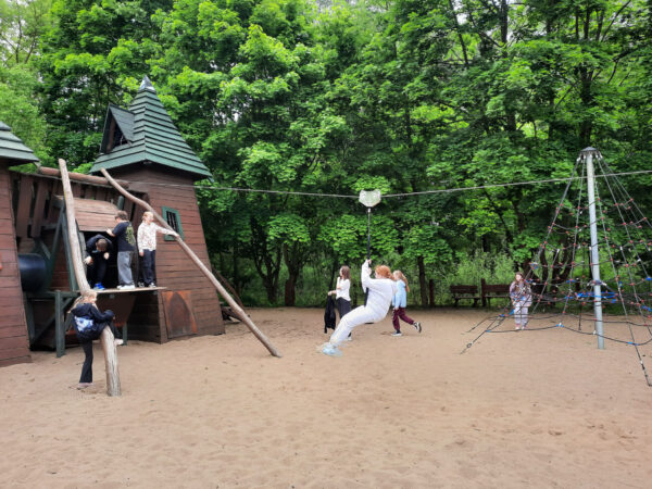 Mokradła są ważne
