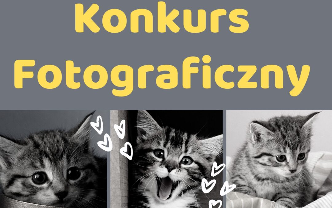 Konkurs fotograficzny