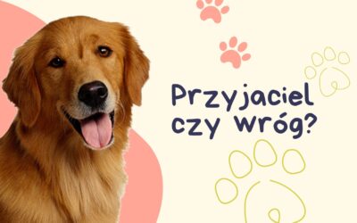 Pies-przyjaciel czy wróg?
